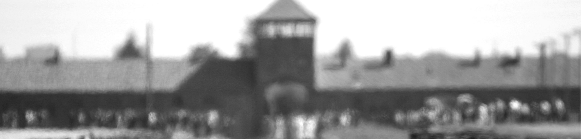 Lesgeven over toen, voor de vrijheid van nu